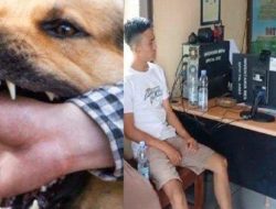 Viral! Pasien di Bengkulu Digigit Anjing, Petugas Puskesmas Malah Suruh Gigit Balik Anjingnya