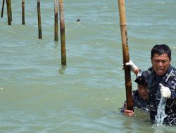 Bersama Nelayan, TNI AL Sudah Bongkar 22,5 Km Pagar Laut di Tangerang