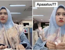 Gak Kapok! Mantan Pegawai PT Timah Kembali Hina Honorer: Masih Gajian?