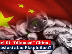 IRONI! RI Raja Nikel, Tapi Sumber Dayanya Dikuasai Perusahaan China