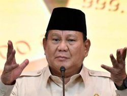 77 Proyek Strategis Nasional Era Prabowo, Swasta Dapat Porsi Besar