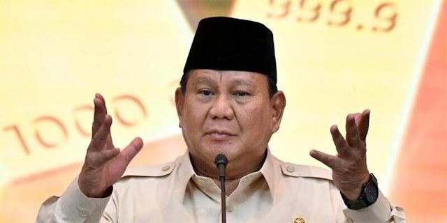 77 Proyek Strategis Nasional Era Prabowo, Swasta Dapat Porsi Besar