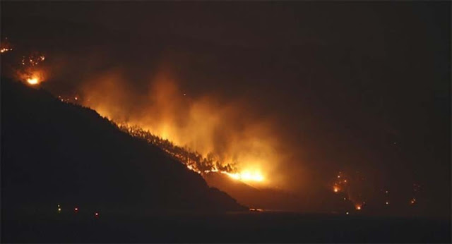 Neraka di Ofunato: Kebakaran Hutan Terburuk Jepang dalam 30 Tahun, 1 Tewas Ribuan Orang Mengungsi