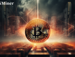 Earn $100,000 a day, DNMIner: Leading the future of fast Bitcoin mining