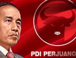 Projo: Kalau Terus Diganggu, Jokowi Bukan Tak Mungkin Hancurkan PDIP