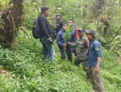 Viral Penemuan Ladang Ganja di Bromo, Netizen: Dilarang Pakai Drone = takut Ketahuan?