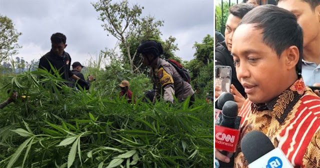 Menhut Pastikan Jajarannya Tak Terlibat dalam Penanaman Ladang Ganja di Area TNBTS