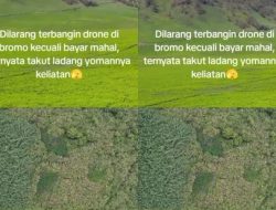 Puluhan Ladang Ganja Ditemukan di Kawasan Wisata Bromo, Netizen: Jadi Ini Alasan Nggak Boleh Nerbangin Drone