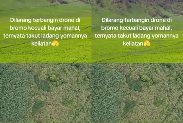 Puluhan Ladang Ganja Ditemukan di Kawasan Wisata Bromo, Netizen: Jadi Ini Alasan Nggak Boleh Nerbangin Drone