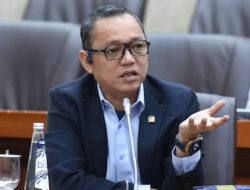 Tudingan Deddy Sitorus ke Jokowi Harus Dipertanggung Jawabkan, Buktikan Siapa yang Kirim Utusan ke PDIP