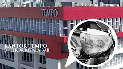 Teror Kepala Babi dan Bangkai Tikus ke Jurnalis Tempo Diduga Politik Playing Victim