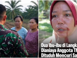 Oknum TNI di Langkat Diduga Aniaya Dua Emak-emak, Dituding Curi Berondolan Sawit