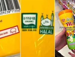 Viral Label Halal di Minuman Tertulis ‘Mengandung Babi’, Netizen Heboh!