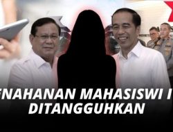 Pakar Hukum Pidana: Tak Cukup Ditangguhkan, Kasus Meme Prabowo-Jokowi Harus Dihentikan!