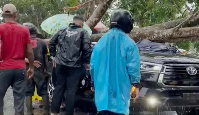 Anggota Polisi Meninggal Usai Tertimpa Pohon Tumbang, Anak dan Istrinya Luka-Luka