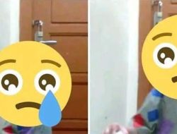 Anggota Komisi III Desak Bareskrim dan Kapolri Tangkap Pengelola Akun Fantasi Sedarah