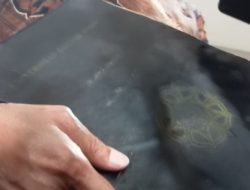 Penampakan Ijazah Jokowi Yang Jadi Polemik, Logo UGM di Map-nya Memudar, Fix Asli?