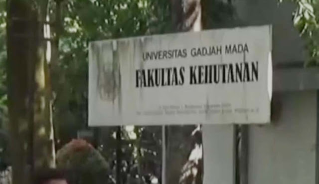 Isu Ijazah Palsu Jokowi Bikin Anak Muda Ogah Kuliah di UGM, Katanya Universitas Abal-abal, Mirip Universitas yang di Ruko-ruko