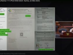 VIRAL Kesaksian Dokter Spesialis di MK: Saya Dipecat Karena Menkes Tersinggung Tulisan Saya
