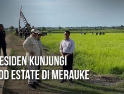 Panen Perdana Sawah Prabowo di Papua Selatan Tuai Kontroversi: Konflik Lahan vs Ketahanan Pangan?