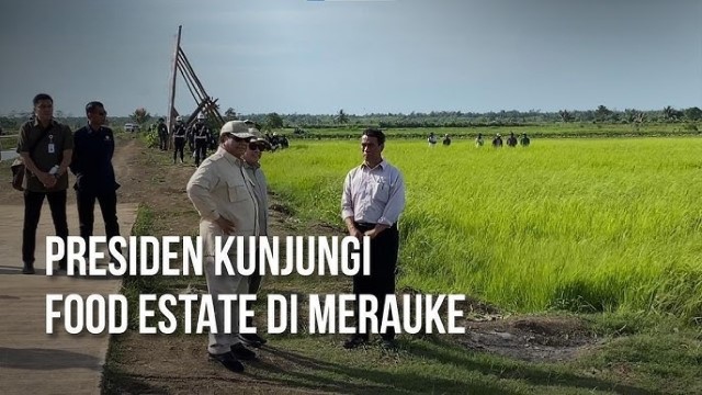 Panen Perdana Sawah Prabowo di Papua Selatan Tuai Kontroversi: Konflik Lahan vs Ketahanan Pangan?