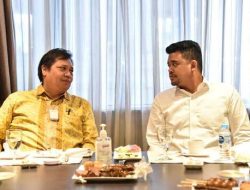 Bobby Nasution dan Airlangga Diduga Terseret Penyelundupan 5,3 Juta Ton Bijih Nikel ke China