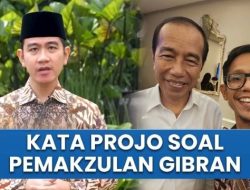 Projo Semprot Purnawirawan TNI Soal Pemakzulan: Jangan Bikin Gaduh, Mas Gibran Tidak Pernah Melanggar Hukum!