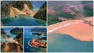 Tak Cuma Antam, Ada Investor China di Balik Tambang Raja Ampat
