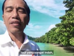 Buni Yani: Usut Dugaan Keterlibatan Keluarga Jokowi di Tambang Raja Ampat