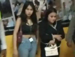 64 PSK Terjaring di Sekitar IKN, Ada dari Bandung hingga Yogyakarta