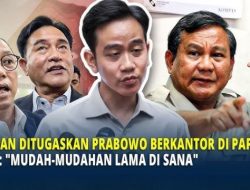 Ditugaskan ke Papua: Antara Ikhlas Mati dan Dibuang Hidup-Hidup