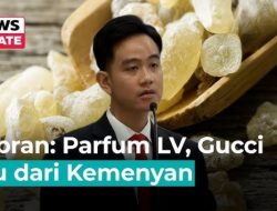 Gibran Sebut Kemenyan RI Bahan Parfum Gucci & LV, Fakta atau Cuma Hoaks?