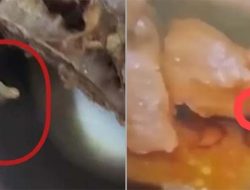 Ada Belatung dalam Menu Makanan Bergizi Gratis di Tuban, Siswa Rekam dan Unggah ke Medsos