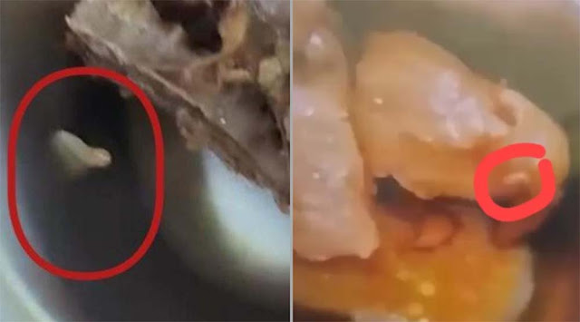 Ada Belatung dalam Menu Makanan Bergizi Gratis di Tuban, Siswa Rekam dan Unggah ke Medsos