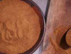 Pahami 7 Manfaat Gula Kelapa Organik yang Jarang Diketahui