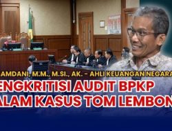 Pakar Paparkan Dua Kesalahan Fatal BPKP Dalam Audit Kasus Tom Lembong