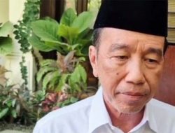 Reaksi Dingin Jokowi soal Manuver Prabowo Bebaskan Hasto dan Tom Lembong: Hak Prerogatif Presiden!