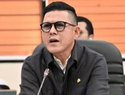 Legislator Golkar: Noel Coreng Muka Presiden