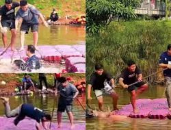 Anies Baswedan Kecemplung Waduk