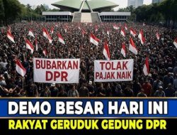 Terbongkar! Anggota DPR Pajaknya Dibayarin Negara, Publik Murka: Terus Gaji Gede Buat Apa?