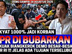 Rismon Sianipar Lantang Sebut Jokowi Pemimpin Maling: Menteri Siapa Yang Antar Duit Tiap Minggu ke Gibran?