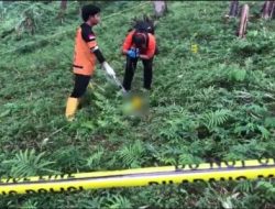 Ngeri! Puluhan Potongan Tubuh Manusia Ditemukan Berserakan di Jurang Pacet Mojokerto