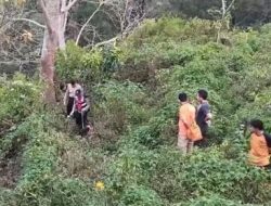Identitas Korban Mutilasi di Pacet Mojokerto Terungkap, Perempuan Muda asal Lamongan