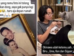 Seminggu Setelah Penjarahan, Uya Kuya Masih Sibuk Cari Kucing hingga Foto Pernikahan