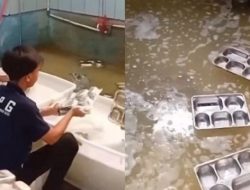 VIRAL Petugas SPPG Cuci Ompreng MBG Asal-Asalan: Dilempar hingga Ngambang di Air Kotor!