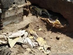 Geger! Tulang dan Kantong Jenazah Ditemukan di Lokasi Konstruksi RSUD Cut Nyak Dhien