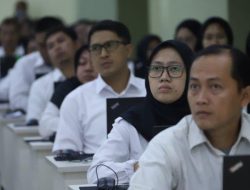 Tunjangan dan Besaran Gaji PPPK Paruh Waktu 2025, Ini Ketentuan Pemberhentian dan Pengangkatannya