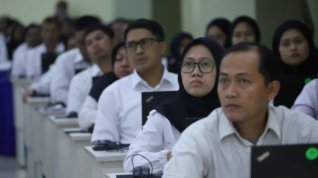 Tunjangan dan Besaran Gaji PPPK Paruh Waktu 2025, Ini Ketentuan Pemberhentian dan Pengangkatannya