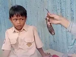 Siswa SD di Gowa Viral Bawa Bekal Ubi Bakar karena Tak Punya Uang Jajan