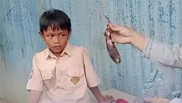 Siswa SD di Gowa Viral Bawa Bekal Ubi Bakar karena Tak Punya Uang Jajan